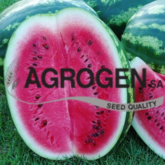 Intro Image