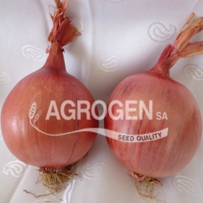 morada-agrogen