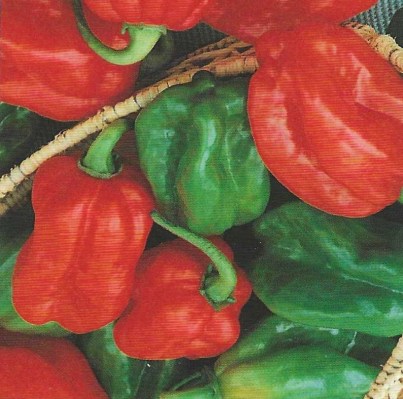 HABANERO