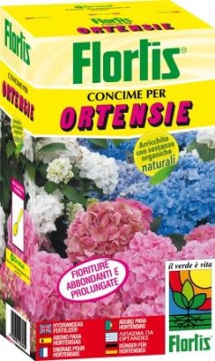 ORTANSIES