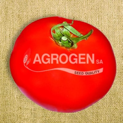 notmata-agiou-petrou-agrogen
