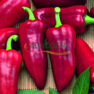 paprika-rafaela-original