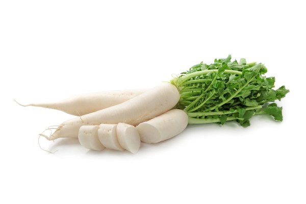 rapani-DAIKON
