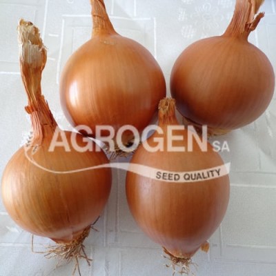 valenciana-agrogen